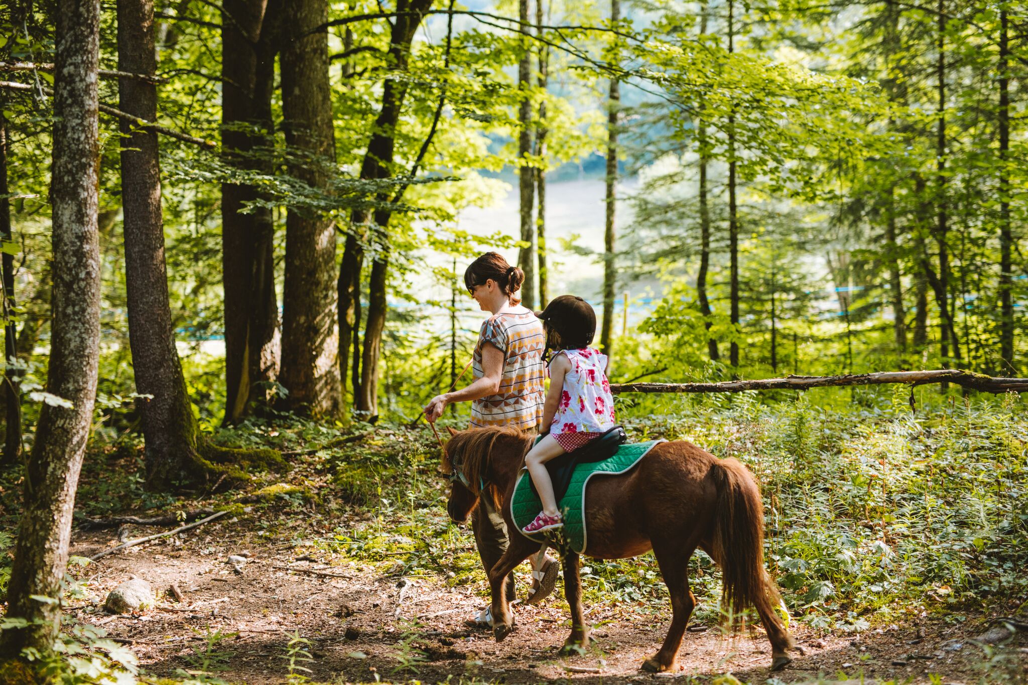 Image Appel à candidatures – centre équestre de Morzine