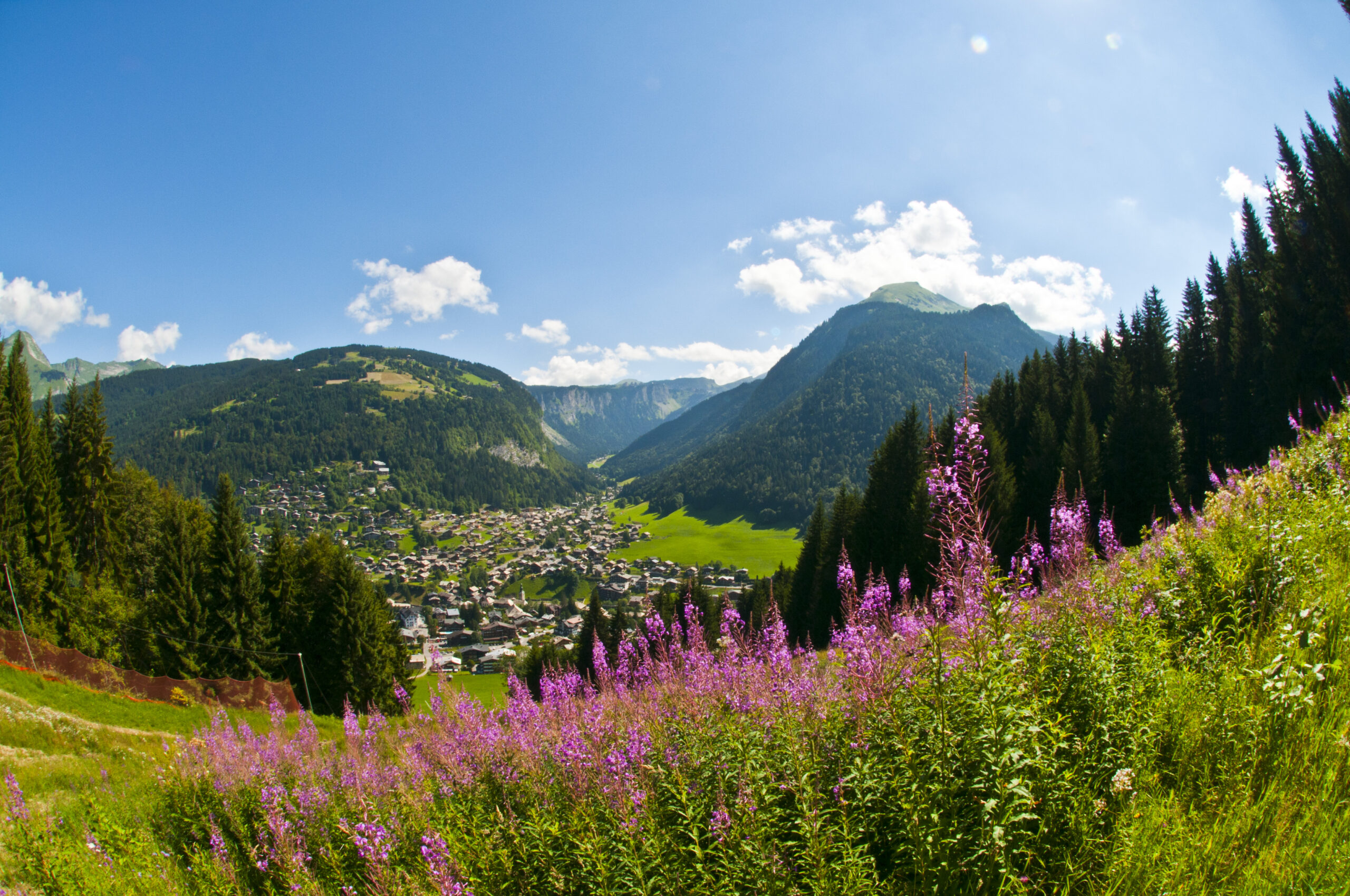La commune recrute ses saisonniers pour l’été !