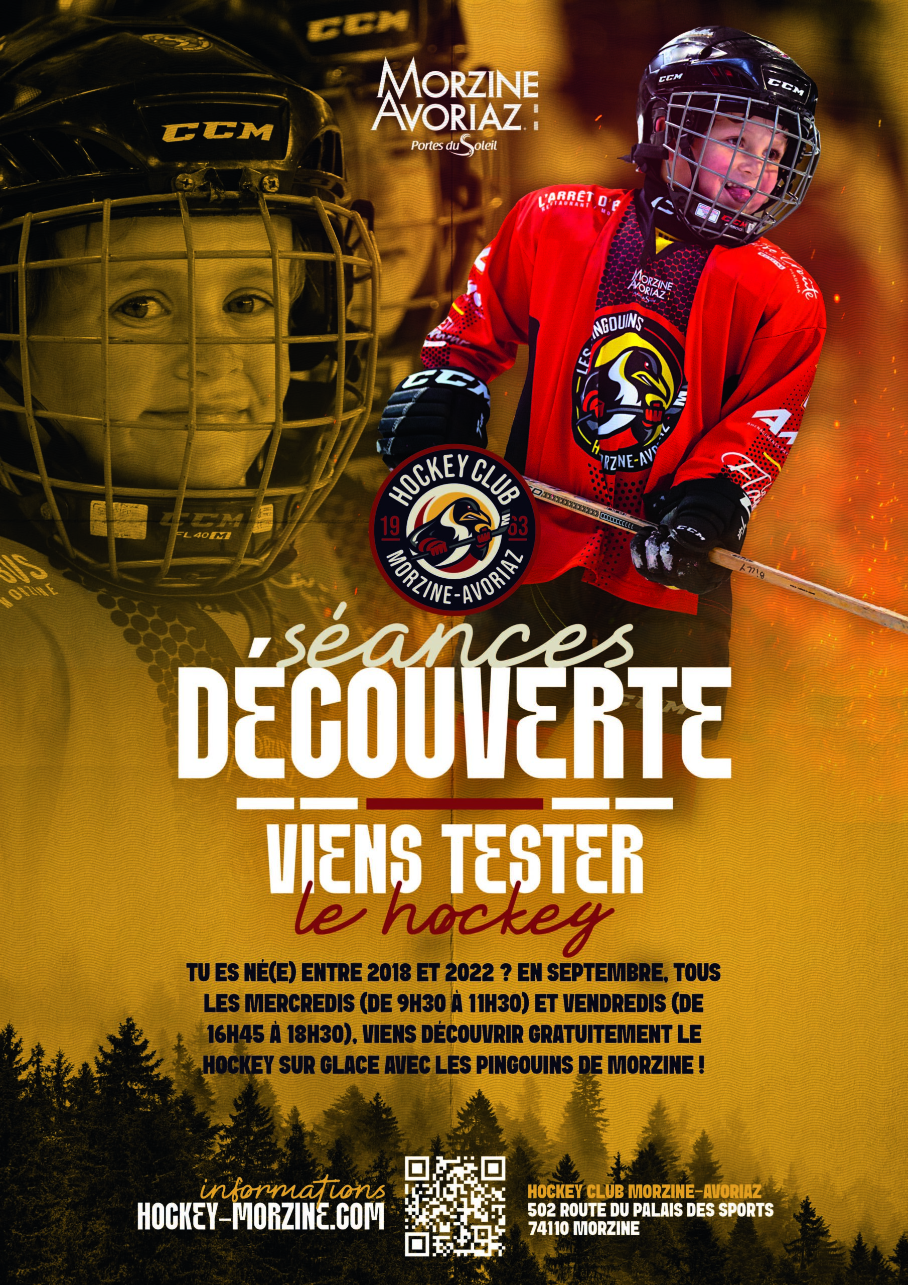 Séances découvertes : hockey sur glace