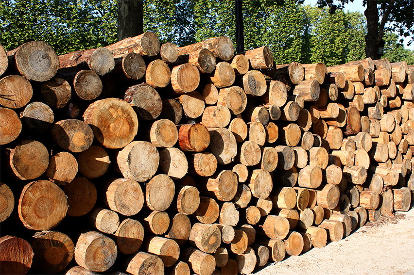 Vente de bois de chauffage